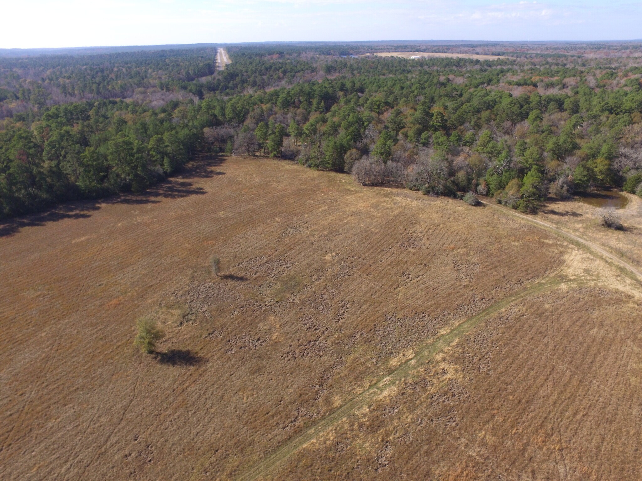 13.71 Ac Percy Howard Tract 1 rd, Huntsville, TX for sale Other- Image 1 of 4