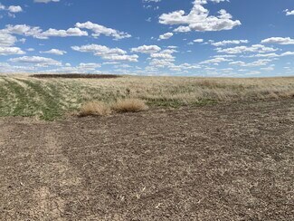 Plus de détails pour TBD Highway 63, Norris, SD - Terrain à vendre