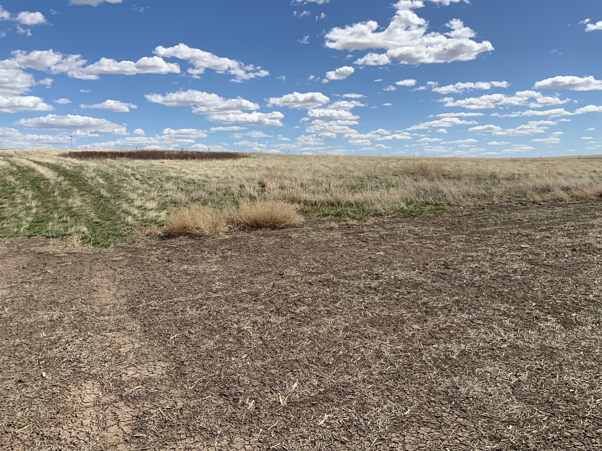 TBD Highway 63, Norris, SD for sale Primary Photo- Image 1 of 12