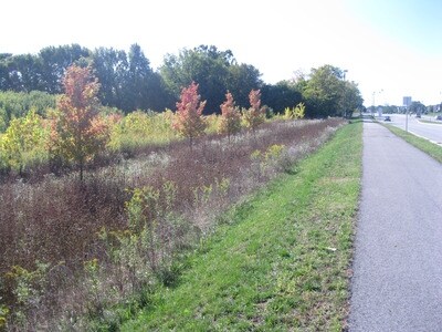 15688 Hazel Dell Rd, Noblesville, IN à vendre - Photo du bâtiment - Image 2 de 18