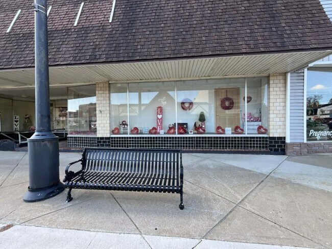 Plus de détails pour 144 E Huron St, Bad Axe, MI - Commerce de détail à vendre