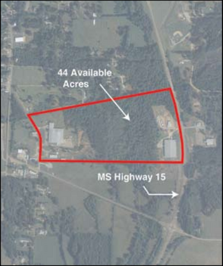 Plus de détails pour HIGHWAY 15, Union, MS - Terrain à vendre