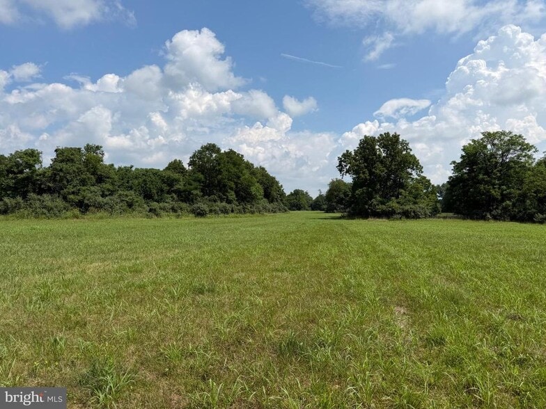 10068 Harry Byrd Hwy, Berryville, VA for sale - Other - Image 3 of 10