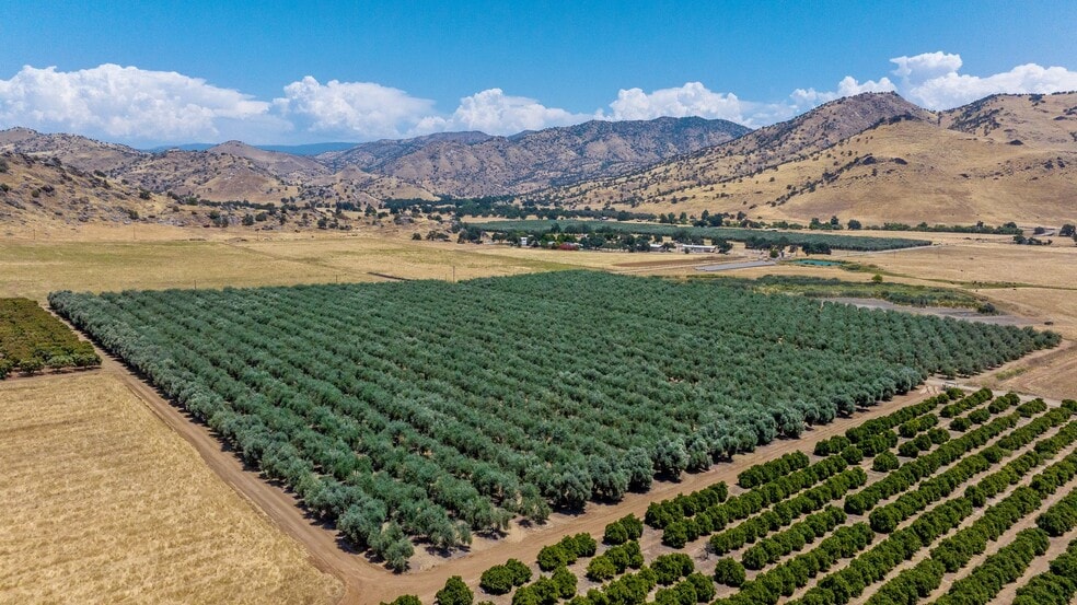 19400 Avenue 398, Woodlake, CA for sale - Aerial - Image 3 of 9