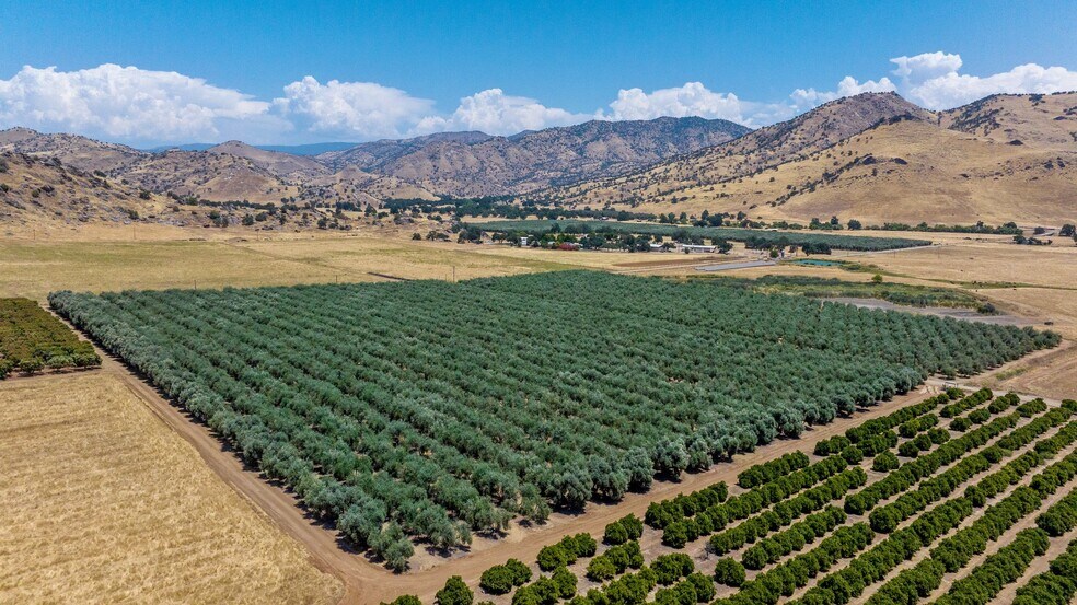 19400 Avenue 398, Woodlake, CA à vendre - Aérien - Image 3 de 9