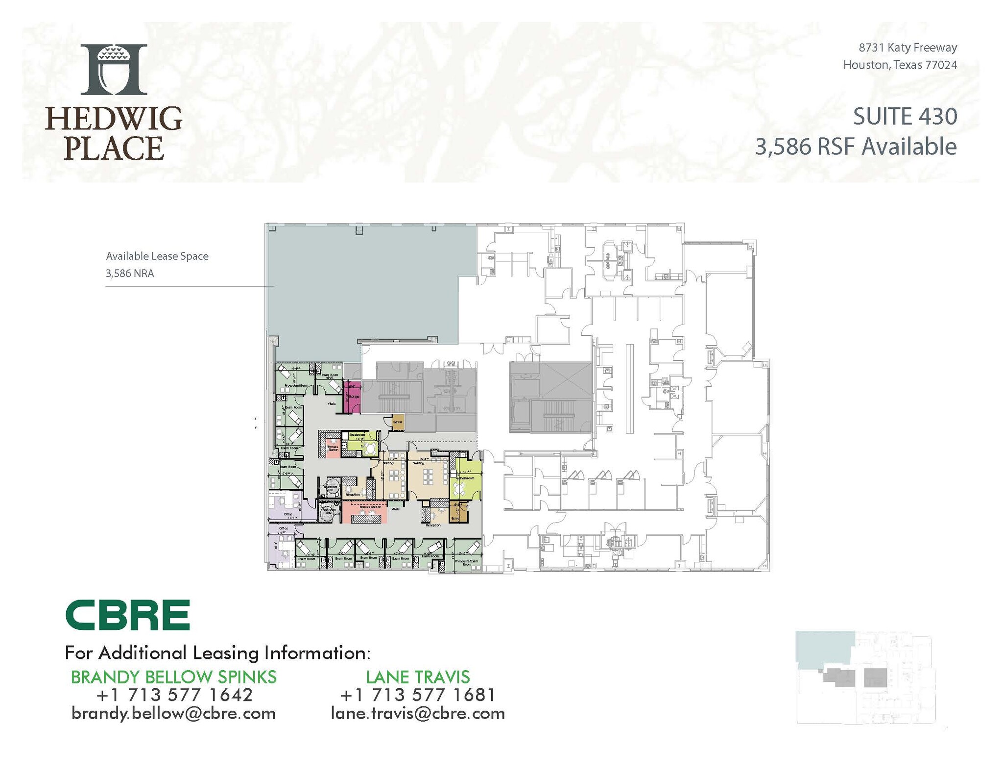 8731 Katy Fwy, Houston, TX for lease Floor Plan- Image 1 of 1