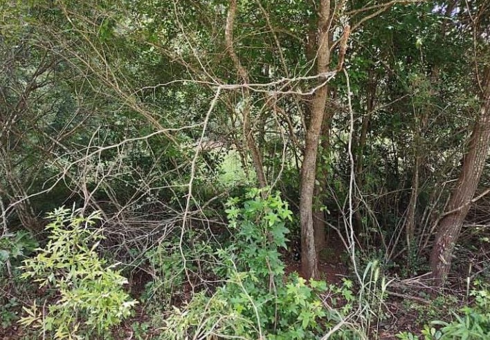 Barnesville Highway, The Rock, GA for sale - Building Photo - Image 3 of 8