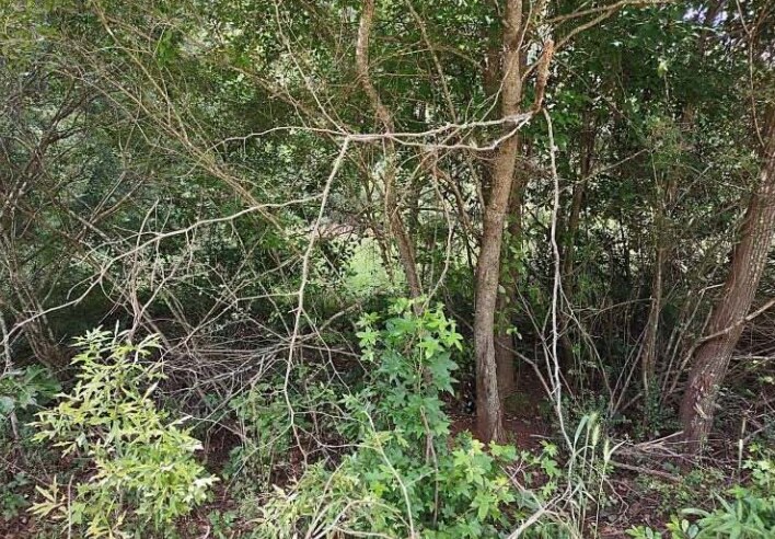 Barnesville Highway, The Rock, GA à vendre - Photo du bâtiment - Image 3 de 8