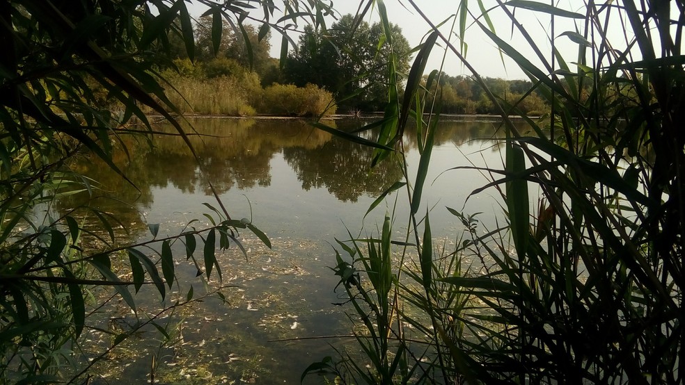 15163 Whittaker Rd, Malahide, ON for sale - Primary Photo - Image 1 of 1