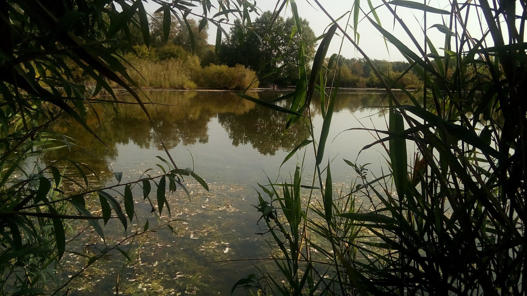 15163 Whittaker Rd, Malahide, ON for sale Primary Photo- Image 1 of 1