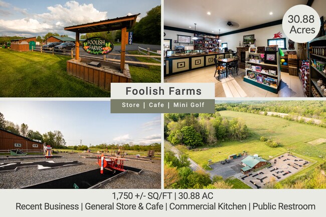 Plus de détails pour 1364 County Highway 12 rd, Mount Vision, NY - Commerce de détail à vendre