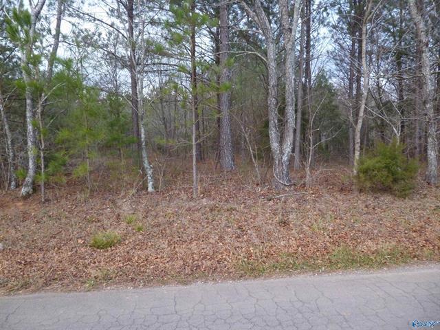 5900 Martin Ave NE, Fort Payne, AL à vendre - Autre - Image 2 de 9