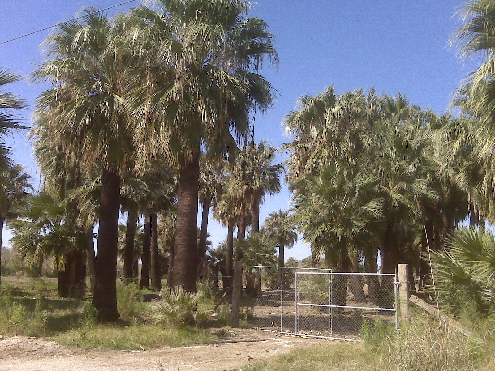 7945 Luna Rd, Niland, CA à louer Photo du bâtiment- Image 1 de 6