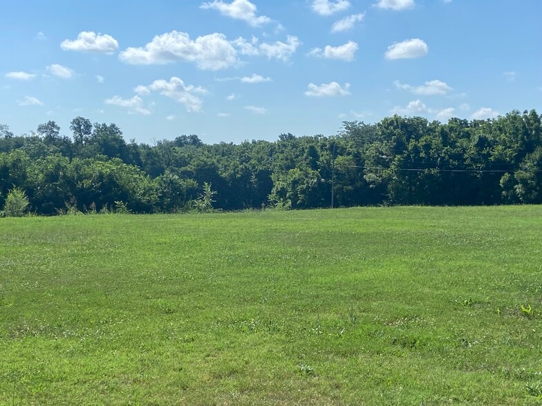 310 Gulf Street, Walnut Grove, MO for sale - Other - Image 3 of 4