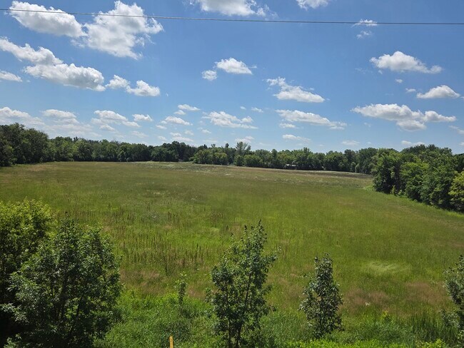 More details for 4xxx lincoln street St, Delano, MN - Land for Sale