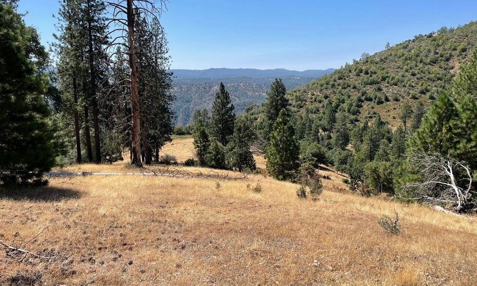 00000 Forrest Road 1N19, Tuolumne, CA à vendre - Photo du bâtiment - Image 2 de 24