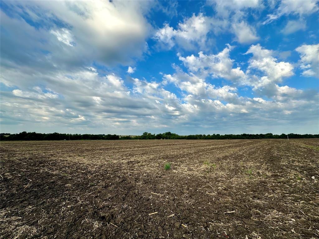 TBD County Road 320, Granger, TX for sale Primary Photo- Image 1 of 4