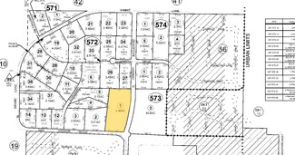 Plus de détails pour 1690 Ash Canyon Rd, Carson City, NV - Terrain à vendre