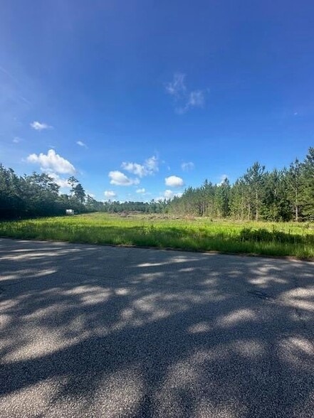 4 Rudd Rd, Ridgeville, SC à vendre - Photo principale - Image 1 de 1
