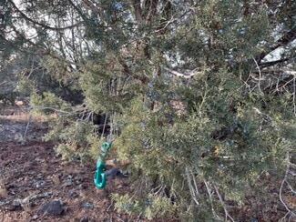 More details for 17411 Ranch Rd, Williams, AZ - Land for Sale