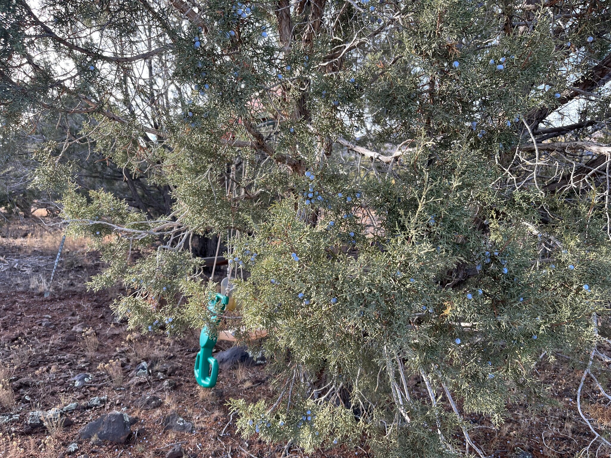 17411 Ranch Rd, Williams, AZ for sale Primary Photo- Image 1 of 14