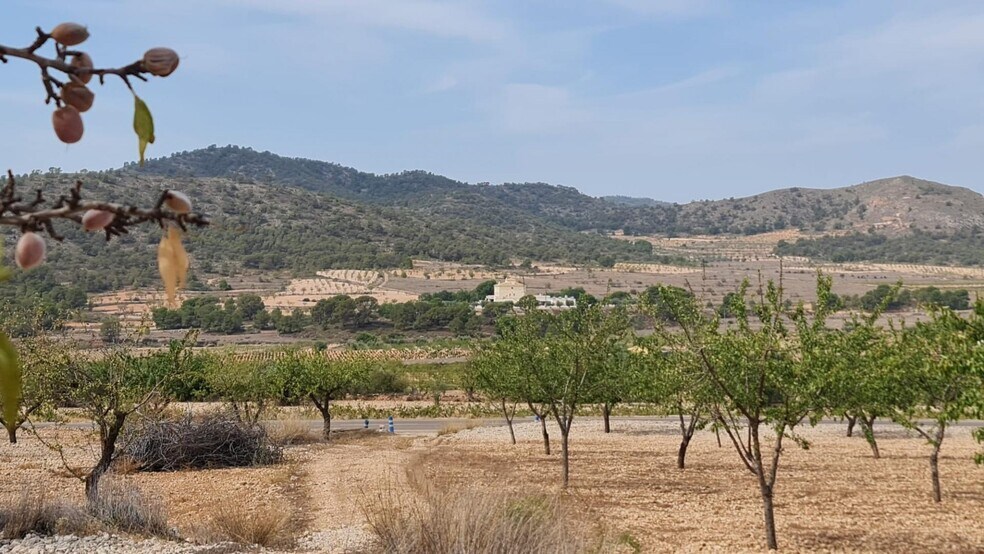 Land in Algueña, Alicante for sale - Aerial - Image 2 of 8