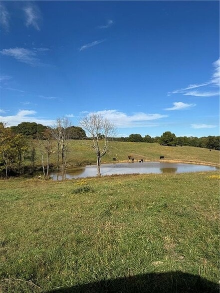 17140 Skelton Rd, Winslow, AR for sale - Primary Photo - Image 1 of 10