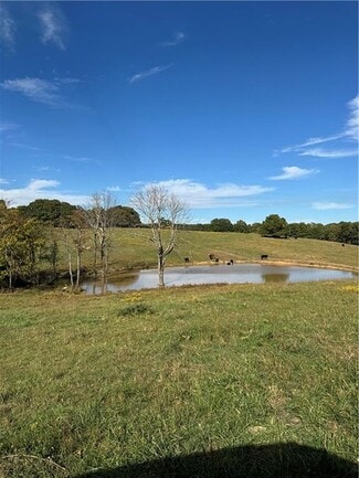 More details for 17140 Skelton Rd, Winslow, AR - Land for Sale