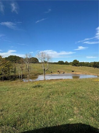 Plus de détails pour 17140 Skelton Rd, Winslow, AR - Terrain à vendre
