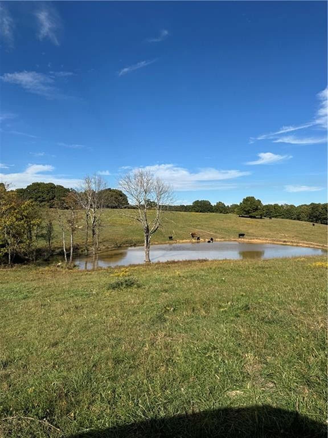 17140 Skelton Rd, Winslow, AR for sale Primary Photo- Image 1 of 11