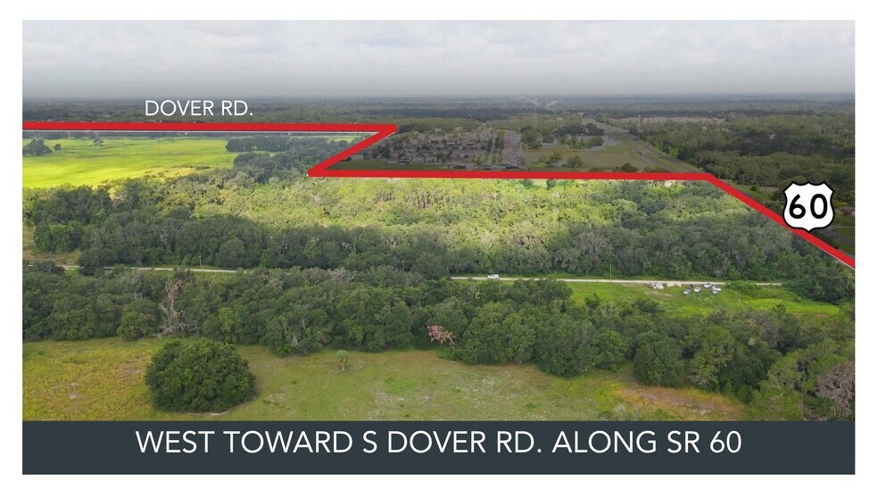 4145 E State Rd 60, Dover, FL à vendre - Photo du bâtiment - Image 3 de 6