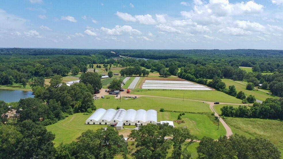 256 1st St, Flora, MS à vendre - Aérien - Image 2 de 8