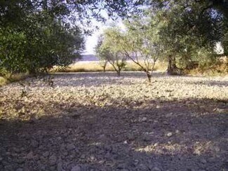 Plus de détails pour Terrain à vendre