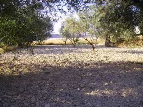 Land in Calasparra, Murcia for sale Building Photo- Image 1 of 4
