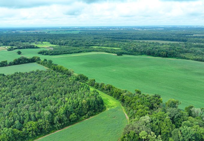 Fennell Ln, Tanner, AL à vendre - Photo du bâtiment - Image 2 de 11