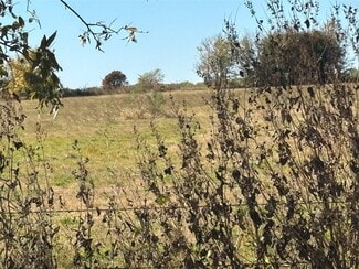 More details for 27.6 Acres on Winn Rd – Land for Sale, Collinsville, TX