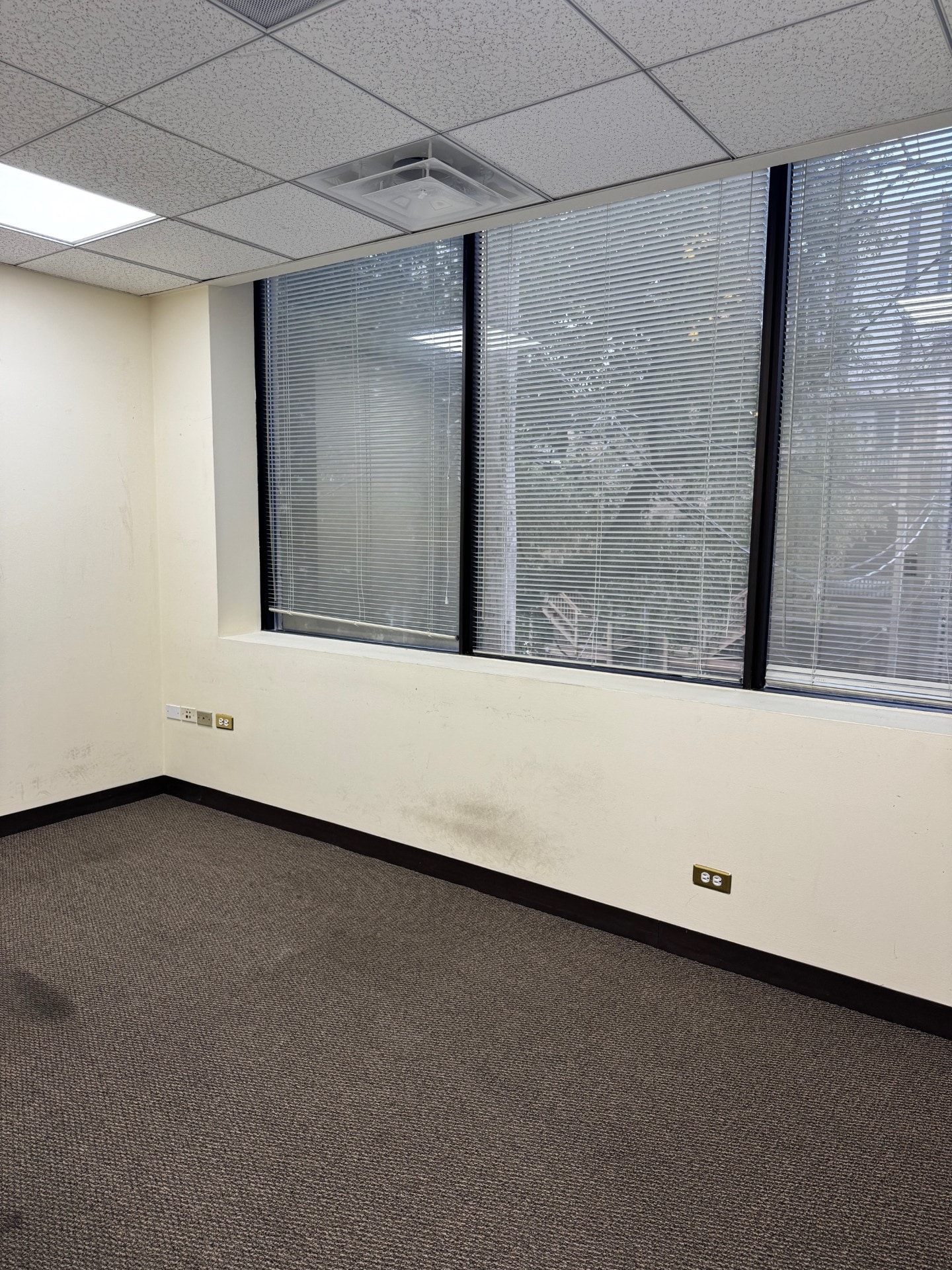 2551 N Clark St, Chicago, IL for lease Interior Photo- Image 1 of 1
