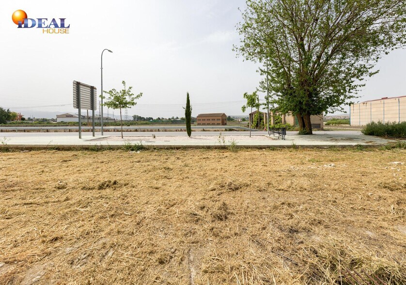 Industrial in Vegas del Genil, Granada for sale - Building Photo - Image 3 of 17