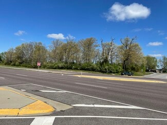 More details for 10311 Fleming Rd, Carterville, IL - Land for Sale