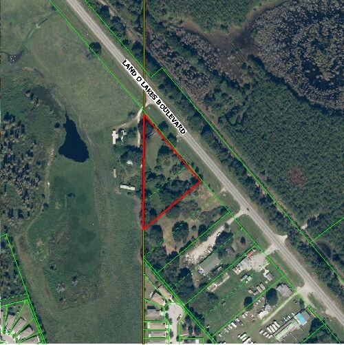 10251 Land O Lakes Blvd, Land O' Lakes, FL à louer - Autre - Image 2 de 4