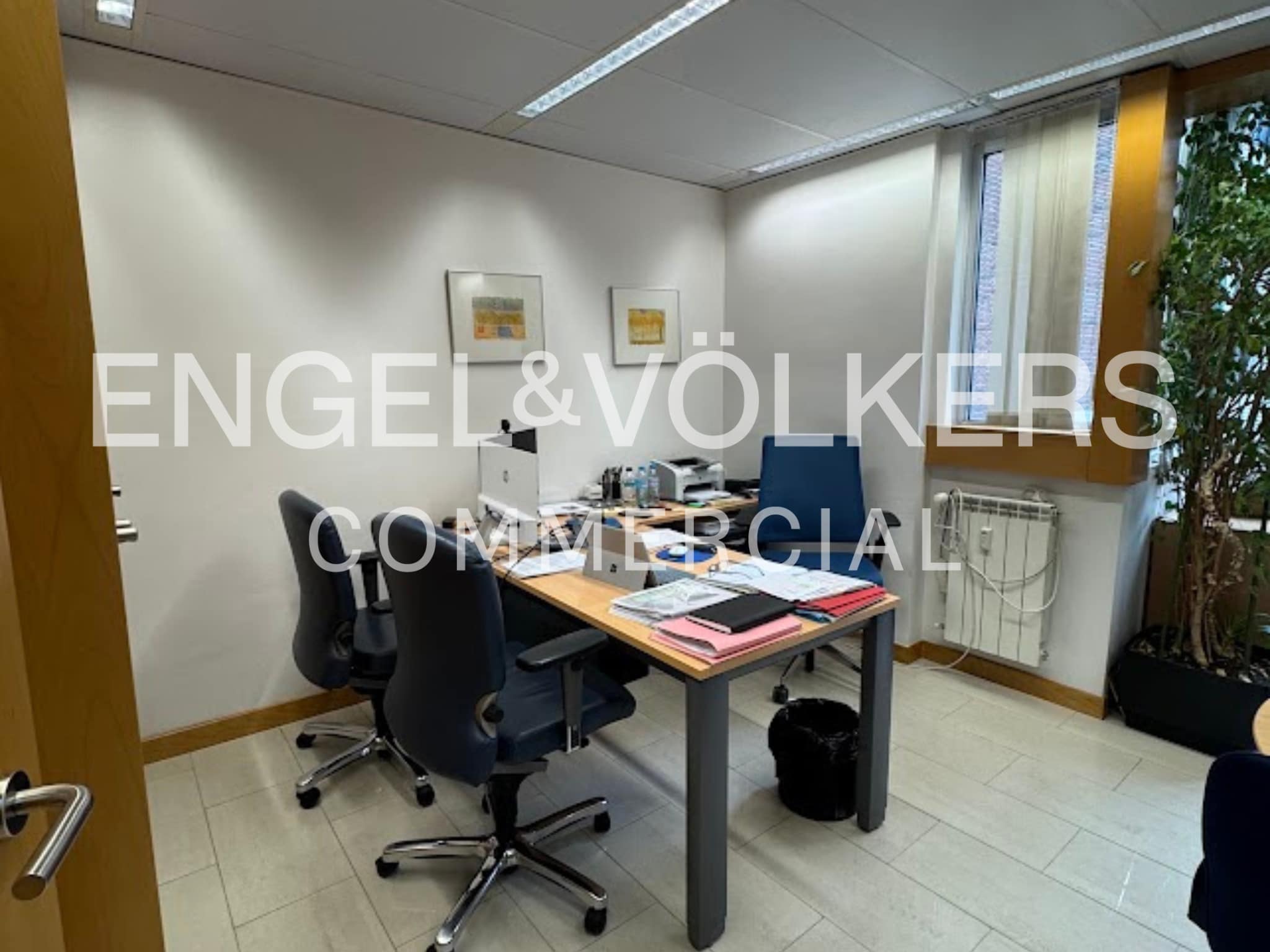 Office in Madrid, Madrid for lease Interior Photo- Image 1 of 22