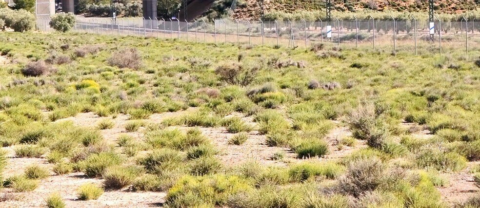 Land in Villena, Alicante for sale - Building Photo - Image 3 of 6