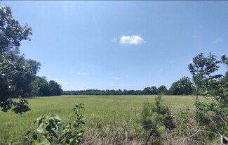 More details for Ravenwood Drive And Bell Road, Selma, AL - Land for Sale