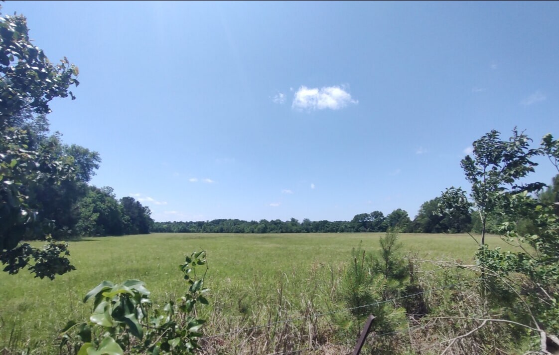 Ravenwood Drive And Bell Road, Selma, AL for sale Building Photo- Image 1 of 6