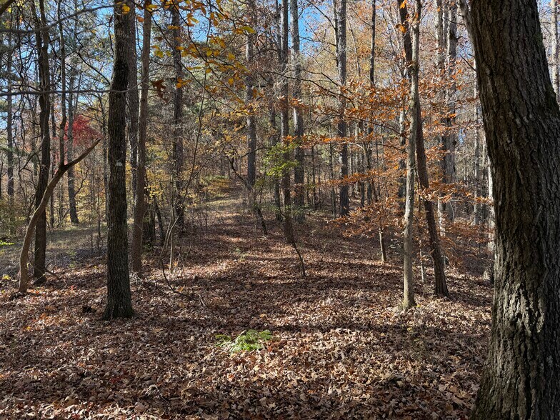 Whitestone, Talking Rock, GA for sale - Building Photo - Image 2 of 14