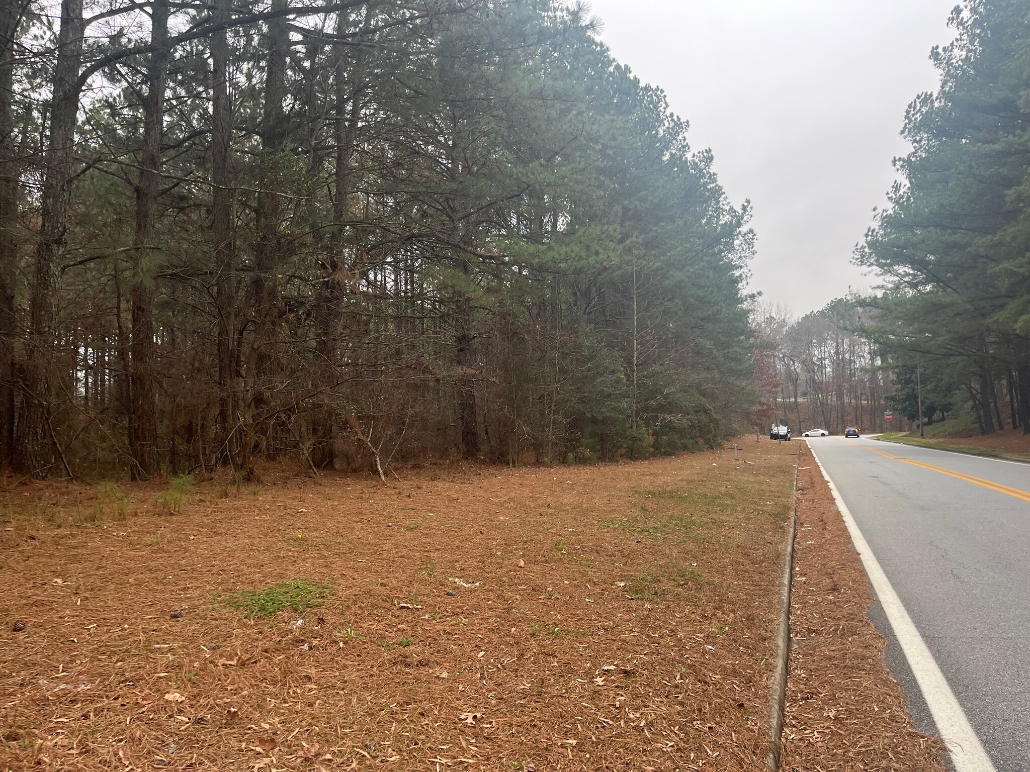 Vista Ridge Dr, Suwanee, GA for sale Primary Photo- Image 1 of 14