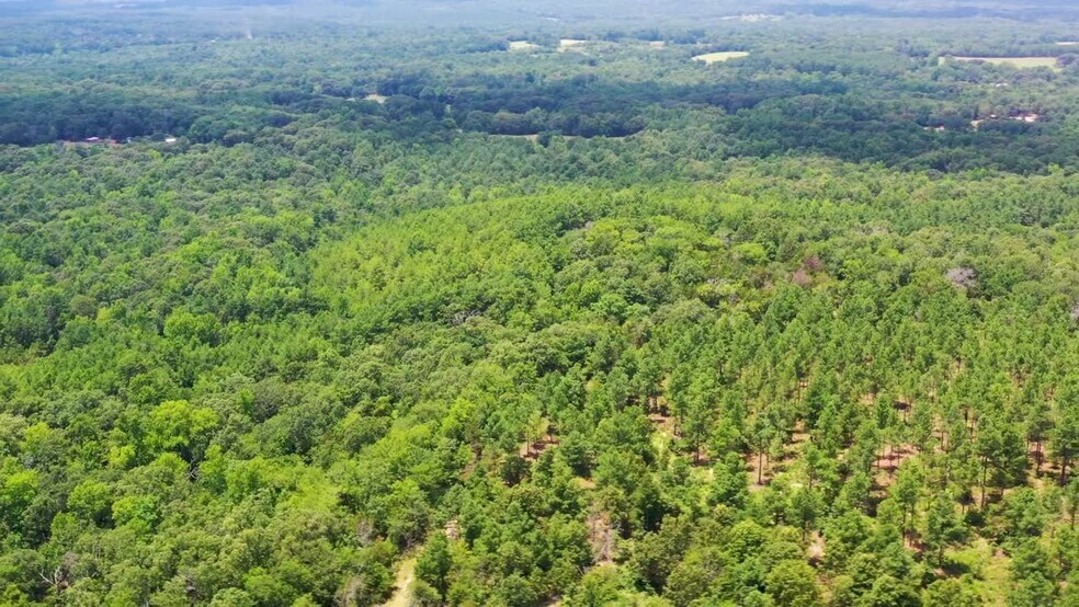 TBD State Hwy 64, Tyler, TX à vendre - Vidéo sur l’inscription commerciale - Image 2 de 39