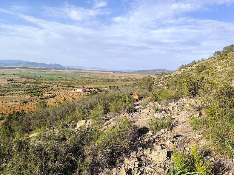 Land in Yecla, Murcia for sale - Aerial - Image 2 of 15