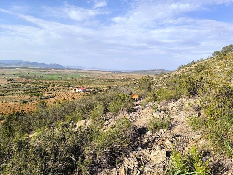 Terrain dans Yecla, Murcia à vendre - Aérien - Image 2 de 15