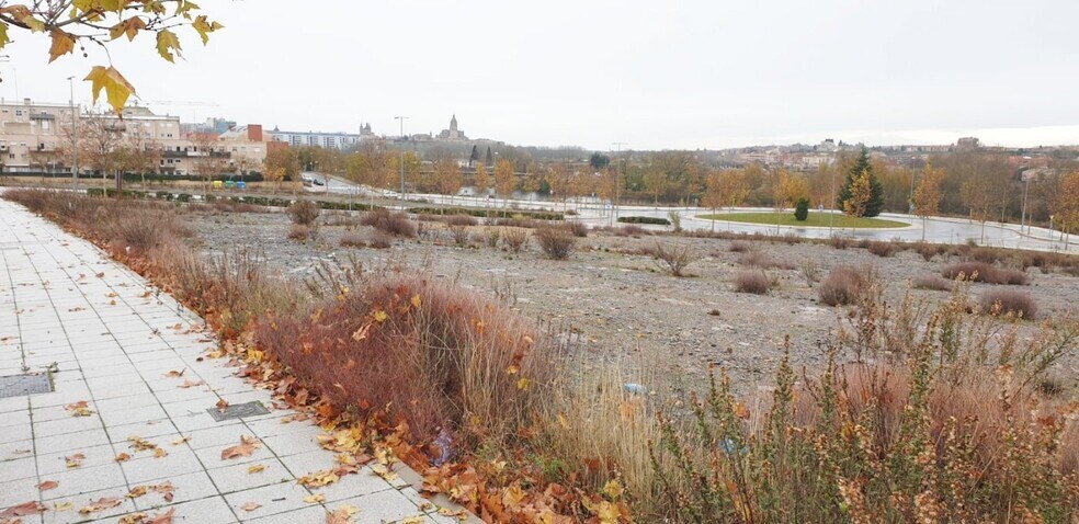 Land in Salamanca, Salamanca for lease - Primary Photo - Image 2 of 9